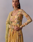 Pavika Anarkali Set