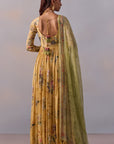 Pavika Anarkali Set