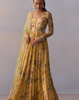 Pavika Anarkali Set