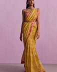Inaya Saree