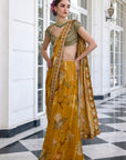 Frida Draped Saree Set