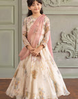 Arika Anarkali - Image 1