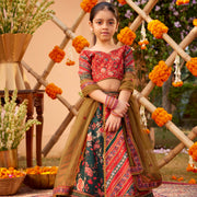 Ahilya Lehenga Set