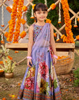 Gulshaad Lehenga Set