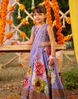 Gulshaad Lehenga Set