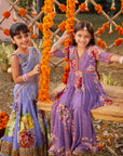 Gulshaad Lehenga Set
