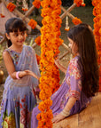 Gulshaad Lehenga Set