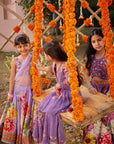 Gulshaad Lehenga Set