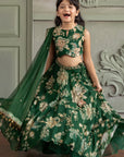 Adwika Lehenga Set - Image 1