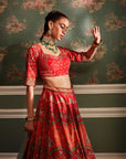 Arohi Lehenga Set