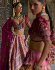 Mehkash Lehenga Set