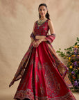 Aashna Lehenga Set