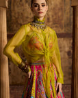 Vamika Lehenga Set - Image 4