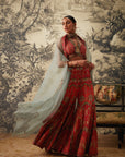 Arohi Sharara Set