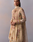 Ayesha Sharara Set