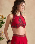Aneeka Sharara Set