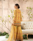 Ahaana Gharara Set