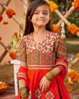 Zaina Anarkali Set