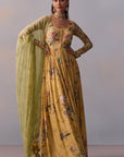 Pavika Anarkali Set