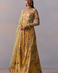 Pavika Anarkali Set