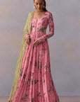 Pavika Anarkali Set