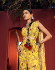 Aksa Pre-Draped Gharara Saree