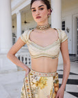 Frida Draped Saree Set