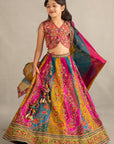Ravika Lehenga Set - Image 4