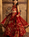 Adwika Lehenga Set - Image 1
