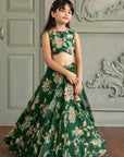 Adwika Lehenga Set - Image 4