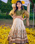 Amelia Vinatge Lehenga Set
