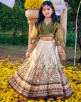 Amelia Vinatge Lehenga Set