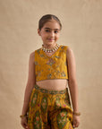 Urja Sharara