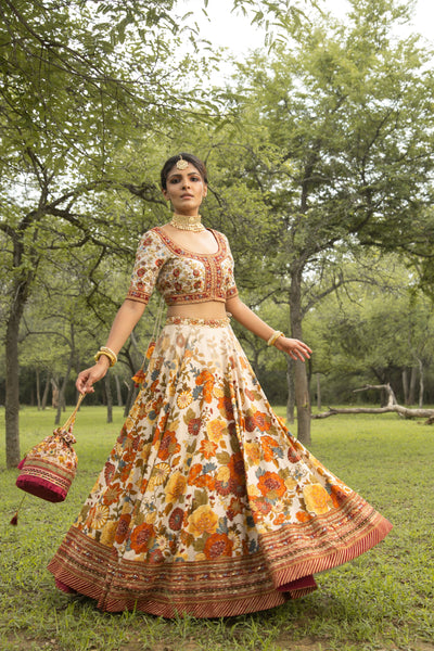 Dilnaaz Lehenga Set