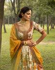 Dilnaaz Lehenga Set