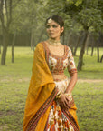 Dilnaaz Lehenga Set
