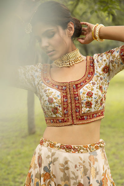 Dilnaaz Lehenga Set