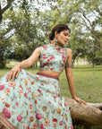 Noor Lehenga Set