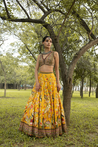 Vanya Lehenga Set