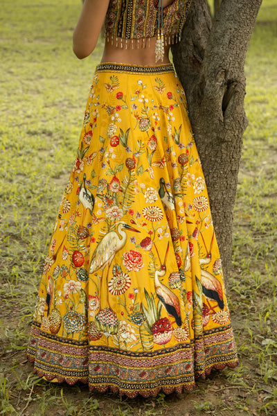 Vanya Lehenga Set