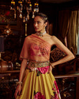 Erum Lehenga Set
