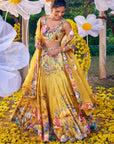 Shirin Lehenga Set