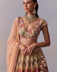Pavika Lehenga Set