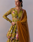 Taisha Lehenga Set