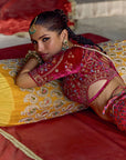 Nehmat Lehenga Set