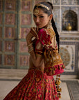 Sameera Lehenga Set