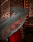Tahira Anarkali Gown