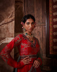 Tahira Anarkali Gown