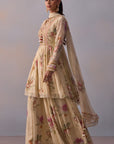 Ayesha Sharara Set
