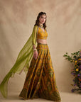 Urja Sharara Set
